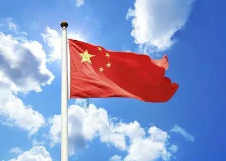 探索微波炉长小虫子怎么办,解决你的疑惑